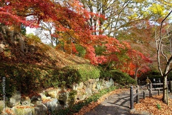 Obraz 根来寺の紅葉