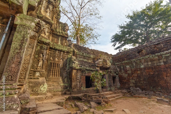 Fototapeta Trees growing on Temple Ta Phrom at Angkor Wat, Cambodia