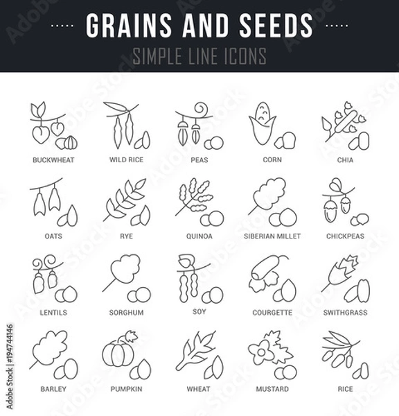 Fototapeta Set Vector Line Icons of Grains and Seeds.