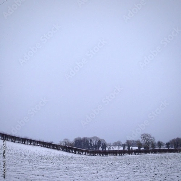 Obraz Field with snow