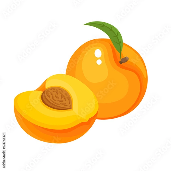 Obraz Bright vector set of colorful juicy peach isolated on white.