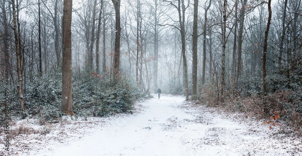 Fototapeta Hiker walking through snow covered winter forest