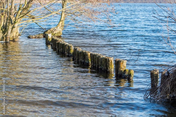 Obraz Ufer Pfähle