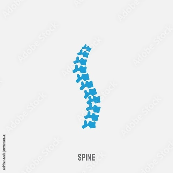 Obraz Spine vector icon. Spine diagnostics and therapy symbol