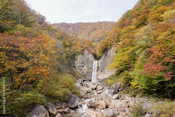 Fototapeta 妙高の苗名滝