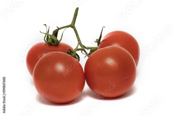 Obraz tomato