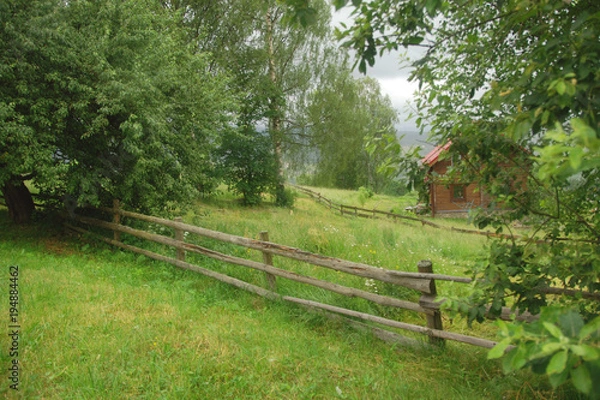 Fototapeta Домик среди деревьев