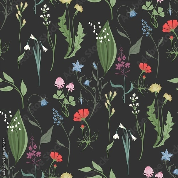 Fototapeta Herbs and Wild Flowers vector seamless pattern of botany texture bdckground illustrations vintage flowes images