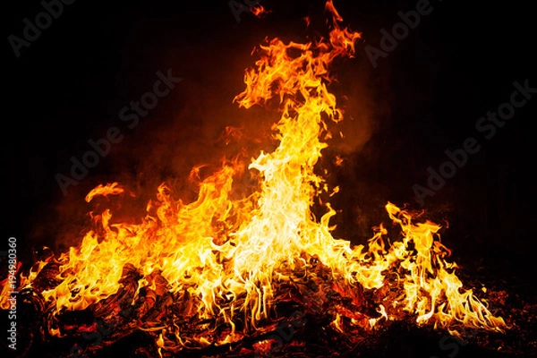 Fototapeta Fire flames on black background