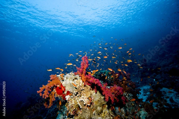 Obraz paysage plongée