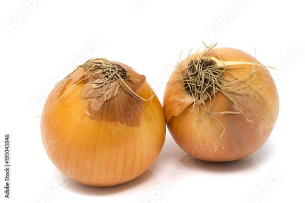 Fototapeta Studio shot of two yellow onions