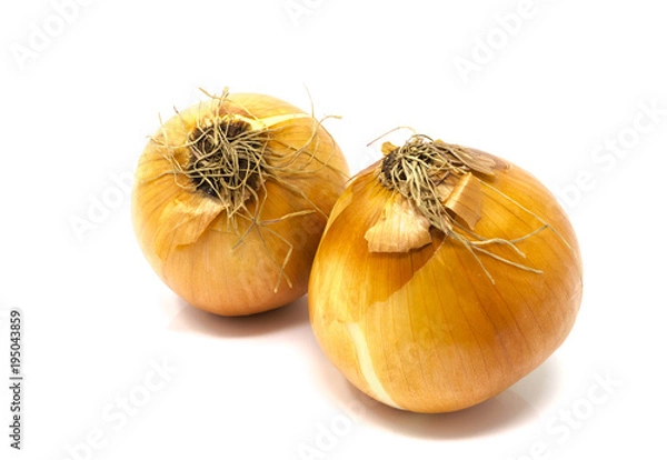 Fototapeta Isolated, close-up studio shot of two yellow onions, with husks on