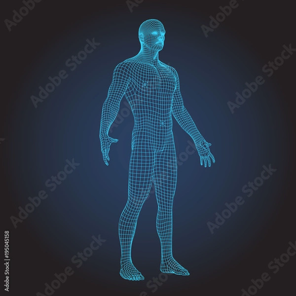Obraz 3D wire frame human body full face