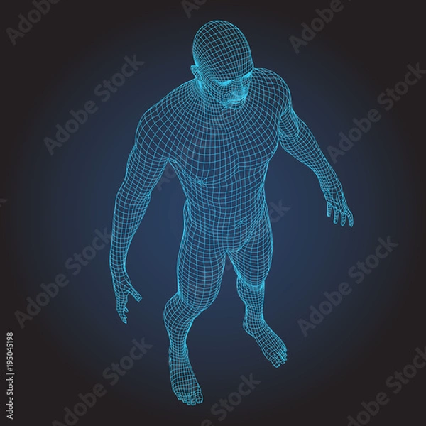 Obraz 3D wire frame human body full face