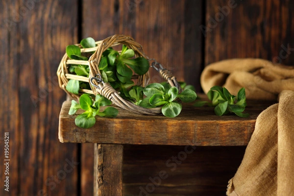 Obraz свежий салат корн в плетеной корзине на скамейке