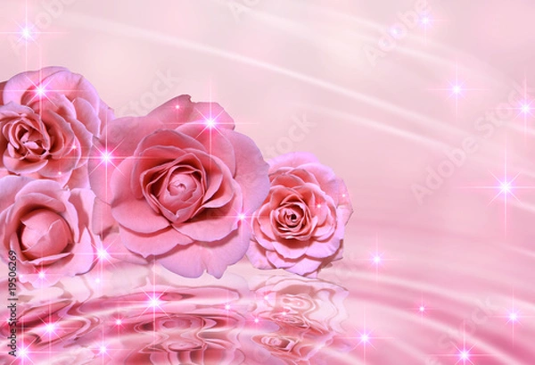 Obraz 薔薇の背景