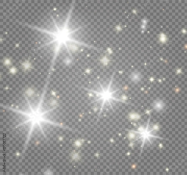 Obraz The bright star on transparent background. Vector