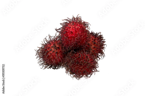 Obraz Rambutan