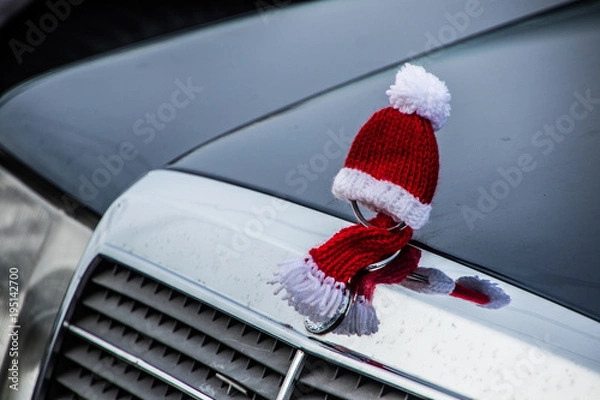 Obraz Kalte Kühlerfigur