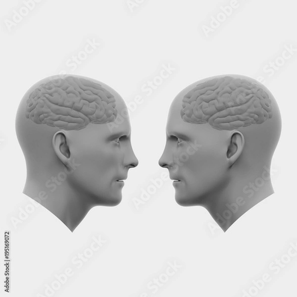 Fototapeta two male heads with brains facing each other. Minimalistic abstract art. Communication concepts. 3d rendering illustration