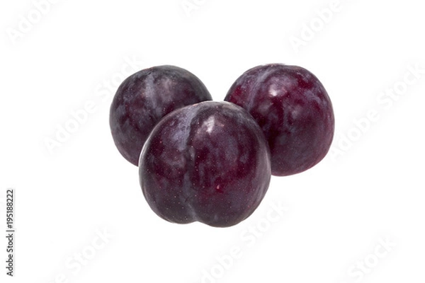 Obraz Plum Fruit