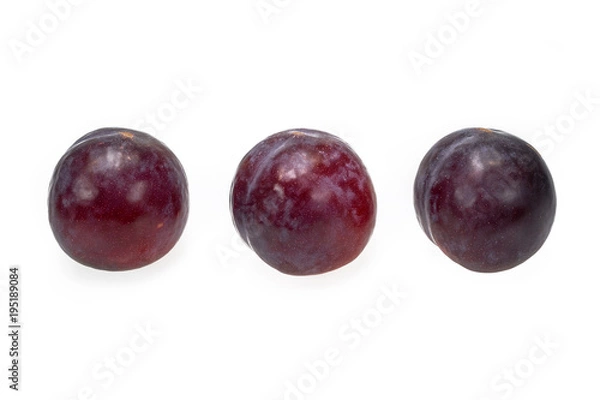 Obraz Plum Fruit
