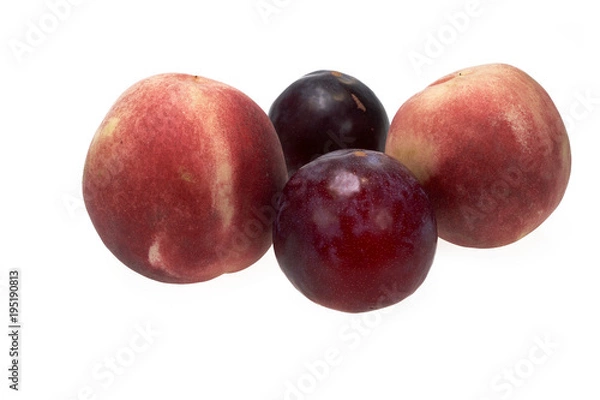 Obraz Peach and Plum Fruit