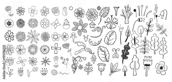 Obraz Hand drawn vintage floral design elements