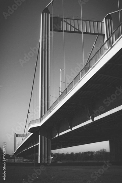 Fototapeta Bridge over the rhine 3