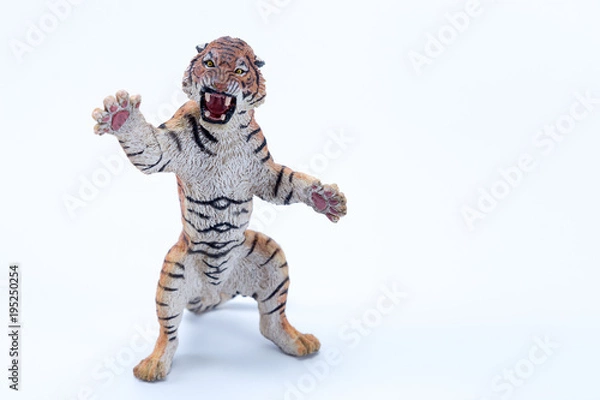 Fototapeta Toy tiger roaring and in attack position with white background