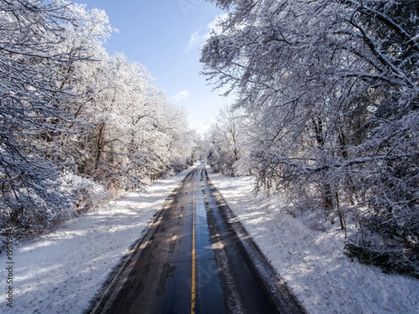 Obraz A Backroad Cutting Through A Snow Covered Forest 01