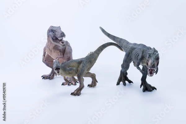 Fototapeta Two t rex Tyrannosaurus versus Allosaurus with white background panoramic