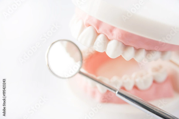 Obraz デンタルケア　歯科　歯磨き　健診