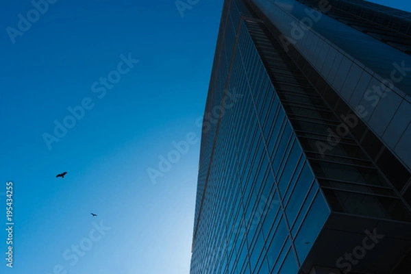 Fototapeta 大都会 ビジネスビル