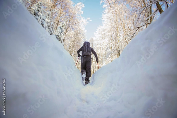 Fototapeta Low angle view of hiker walking on the path with fresh deep snow in the forest on the hill, rear view.