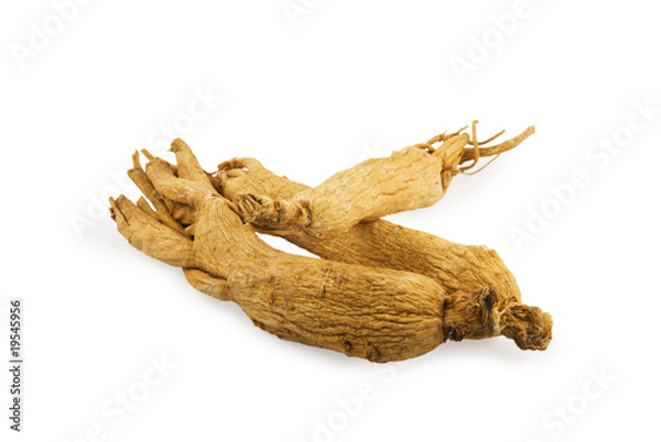 Obraz Ginseng roots on white background