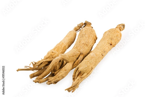 Obraz Three ginseng root