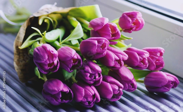 Obraz Тюльпаны у окна