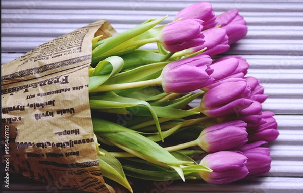 Obraz Тюльпаны на фотофоне