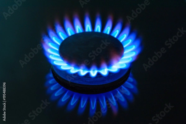 Fototapeta The gas is burning, the gas-stove burner, the hob in the kitchen, close-up. The concept of problems with natural gas, rising gas prices.