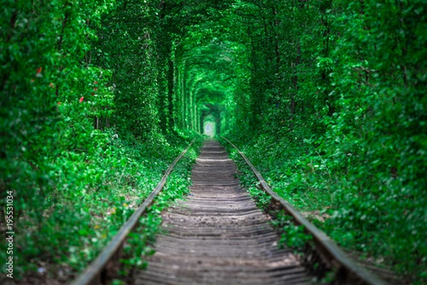 Fototapeta a railway in the spring forest tunnel of love