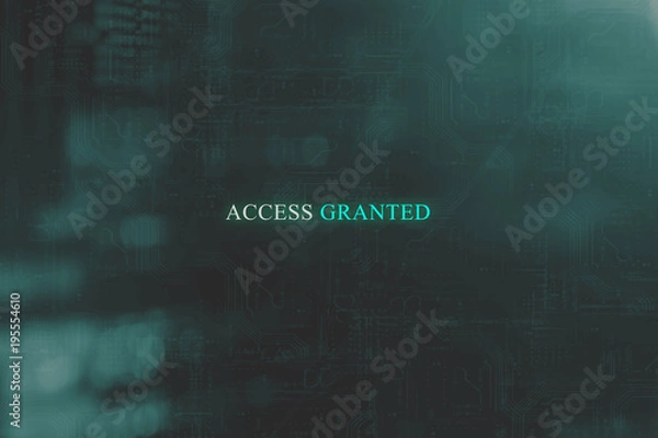 Obraz Access granted to server system technology