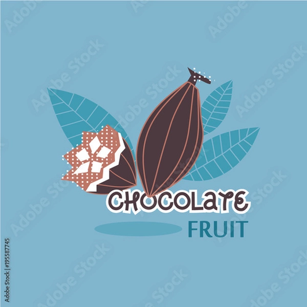 Fototapeta   Vector illustration design of cocoa chocolate tree fruit 