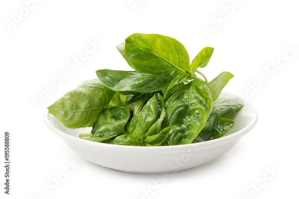 Fototapeta バジル