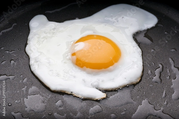 Obraz fried egg