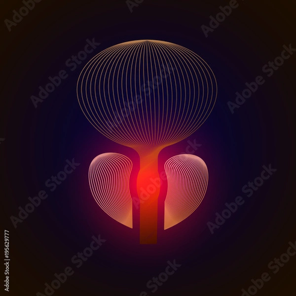 Fototapeta Vector isolated prostate with pain center. 3D human organ . Medicine concept with line. vector illustration of prostatitis. sexual infections, prostate.