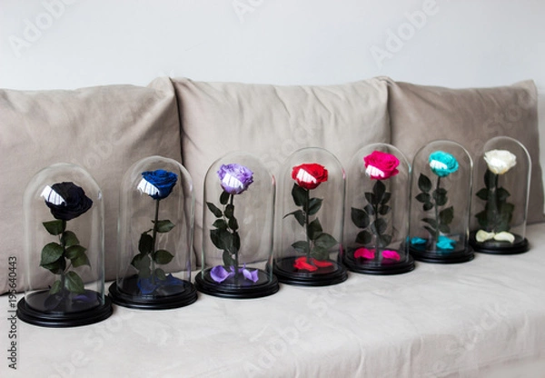 Fototapeta Several roses in a flask. Long-lasting rose. Preserved