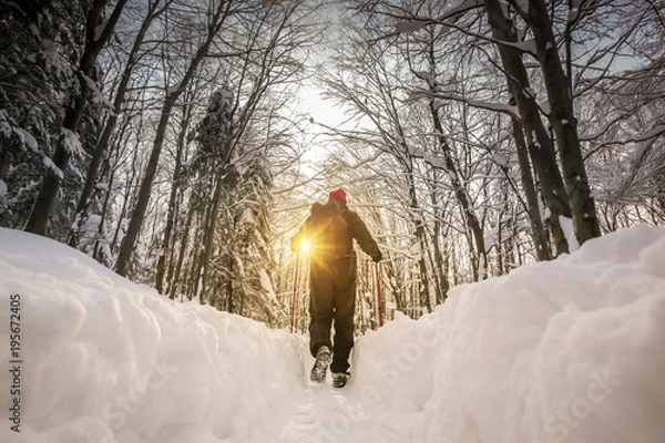 Fototapeta Low angle view of hiker walking on the path with fresh deep snow in the forest on the hill at sunset.