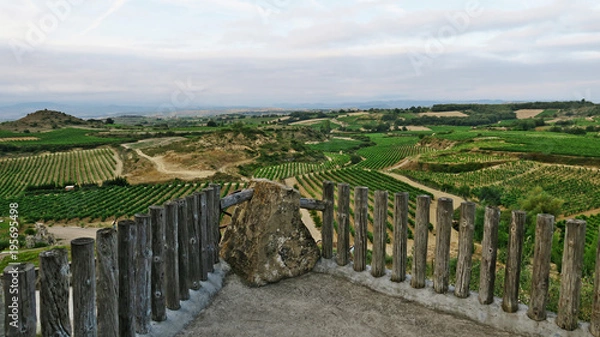 Obraz Entre viñedos