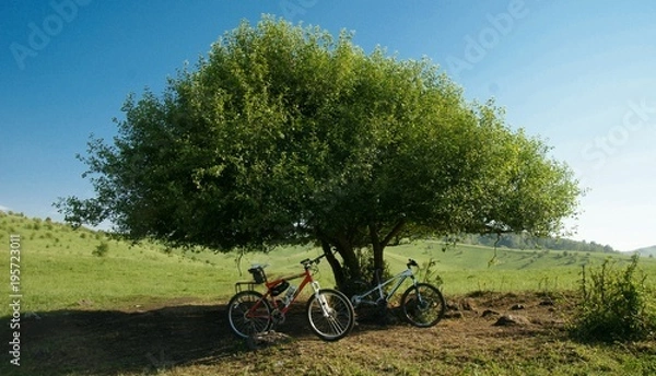 Obraz Trip on bicycle
